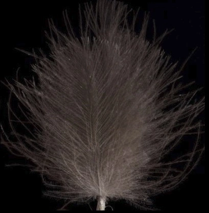 Swiss CDC Ultra Select XL Feathers 22 Swiss CDC Ultra Select XL Feathers - Afbeelding 20