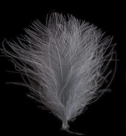 Swiss CDC Ultra Select XL Feathers 26 Swiss CDC Ultra Select XL Feathers - Afbeelding 24