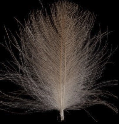 Swiss CDC Ultra Select XL Feathers 19 Swiss CDC Ultra Select XL Feathers - Afbeelding 17