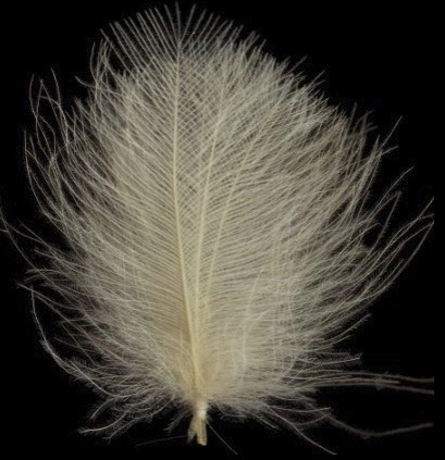 Swiss CDC Ultra Select XL Feathers 23 Swiss CDC Ultra Select XL Feathers - Afbeelding 21