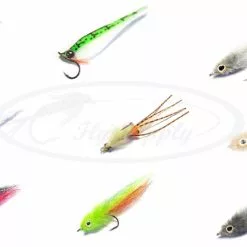 Seabass Streamer Set 5pc